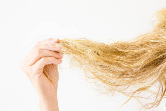What Causes Frizzy Hair?